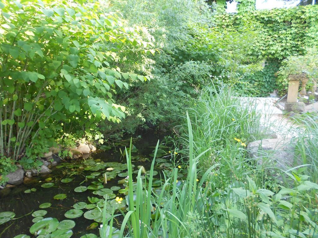 Apart'Hotel Les 4 Sources Corbes Екстер'єр фото